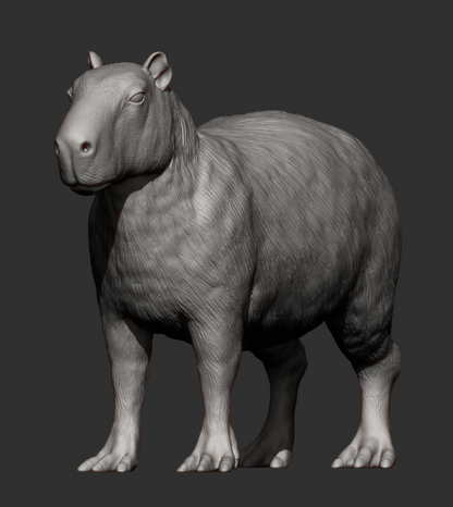 Capybara von Akuzmenko als 3D Druck