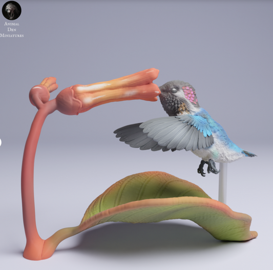 Kolibri frisst aus Blume von Animal den miniatures als 3D Druck