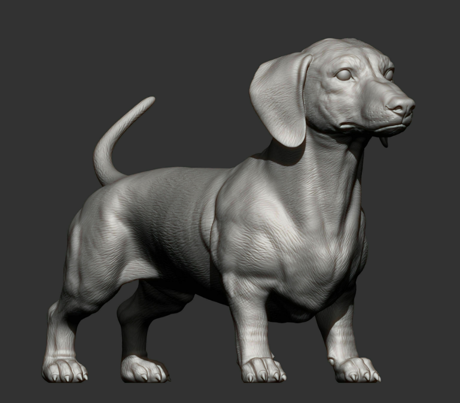 Dachshund d'Akuzmenko en impression 3D