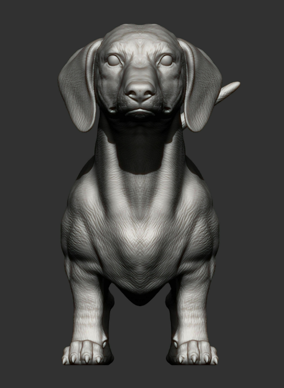Dachshund d'Akuzmenko en impression 3D