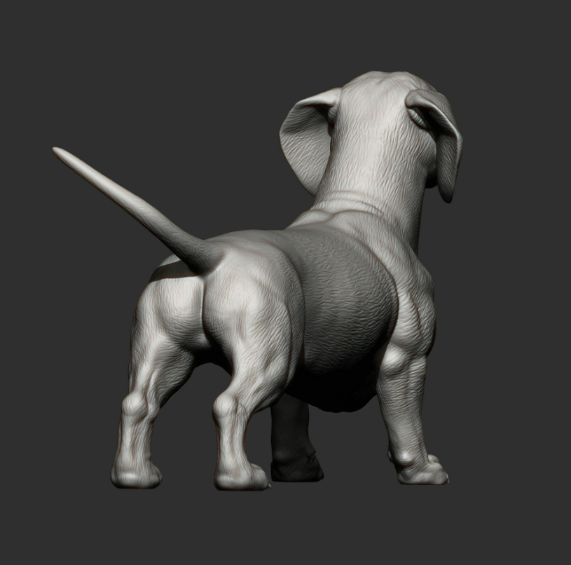 Dachshund d'Akuzmenko en impression 3D