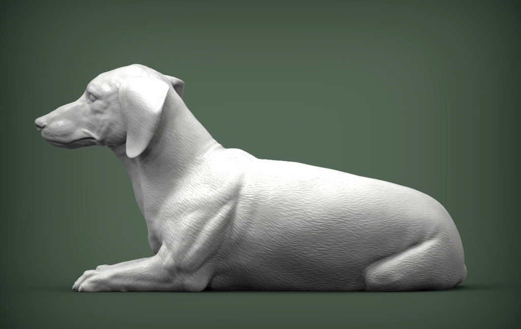Teckel couché d'Akuzmenko en impression 3D