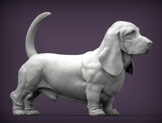 Basset by Azukmeno as 3D print (