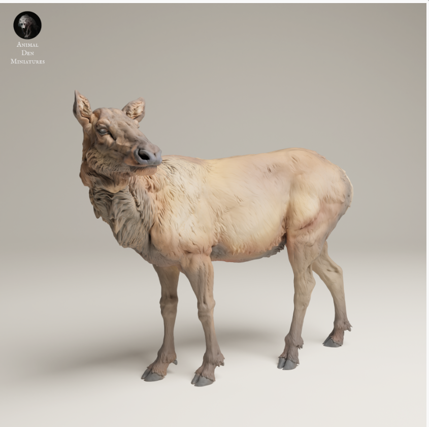Rocky Mountain Elchkuh 2 von Animal den miniatures