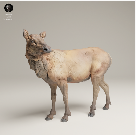 Rocky Mountain Elk Cow 2 by Animal den Miniatures