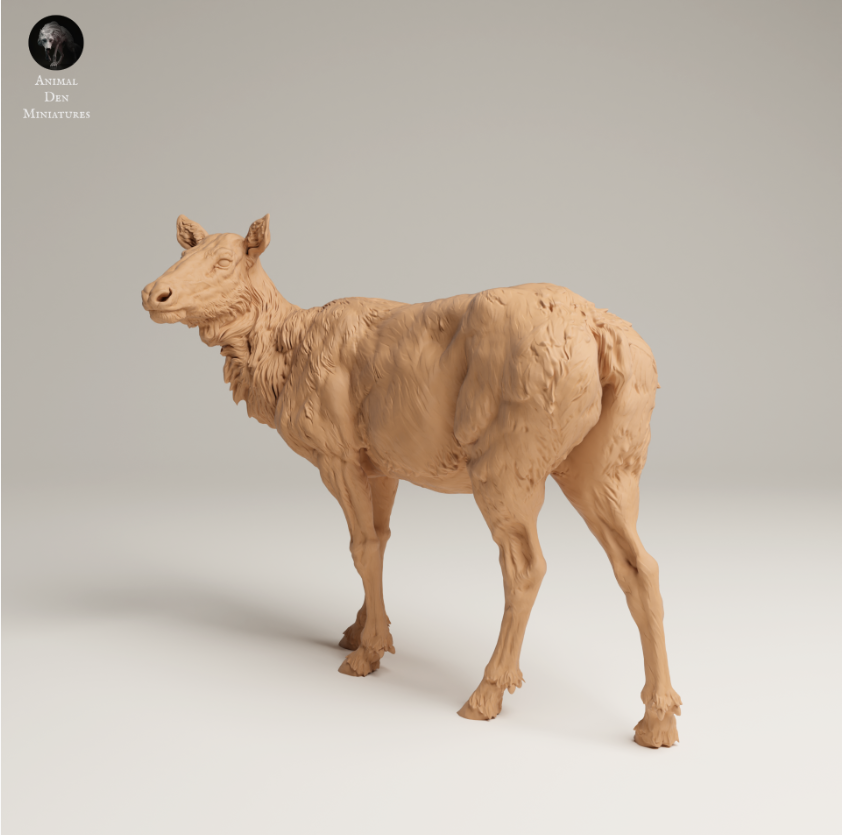 Rocky Mountain Elchkuh 2 von Animal den miniatures
