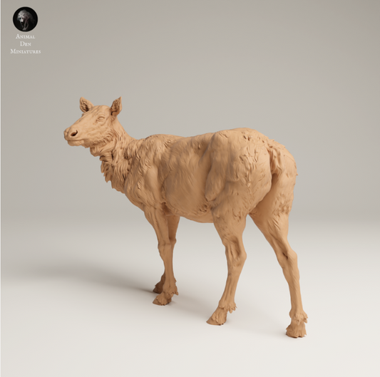 Rocky Mountain Elk Cow 2 by Animal den Miniatures