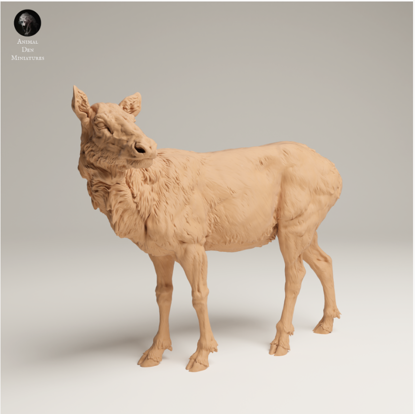 Rocky Mountain Elchkuh 2 von Animal den miniatures