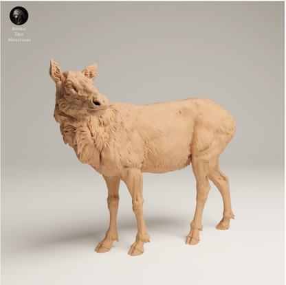 Rocky Mountain Elchkuh 2 von Animal den miniatures
