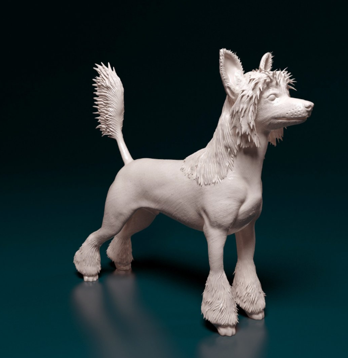 Chinesischer Schopfhund in 3 Versionen von StereoCat als 3D Druck