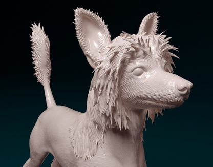 Chinesischer Schopfhund in 3 Versionen von StereoCat als 3D Druck