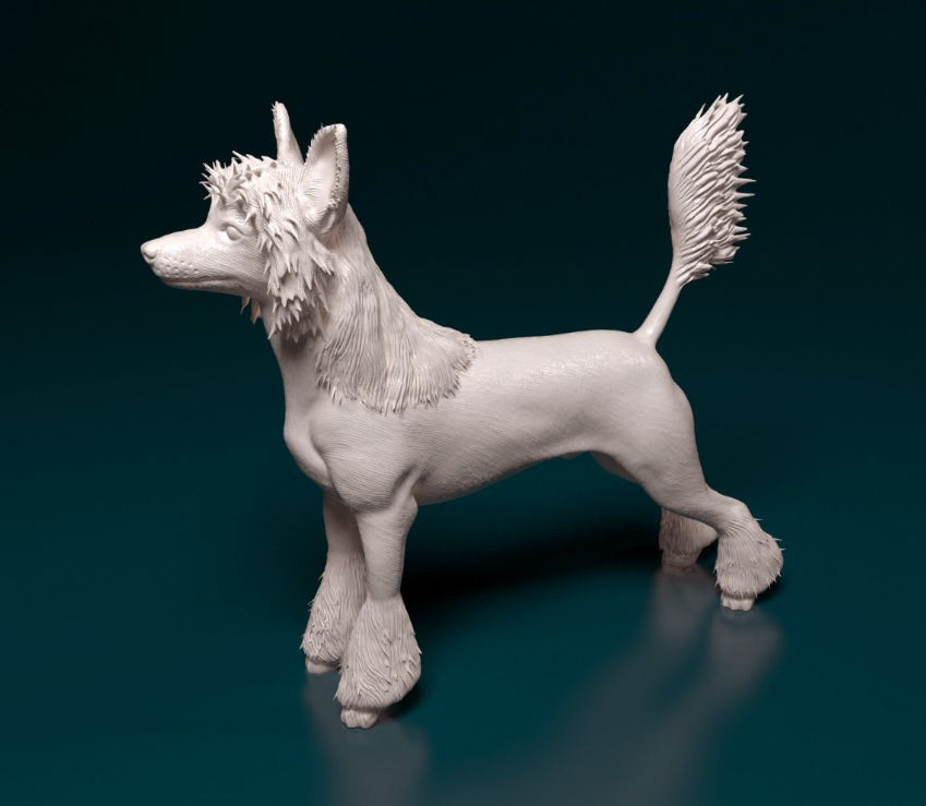 Chinesischer Schopfhund in 3 Versionen von StereoCat als 3D Druck