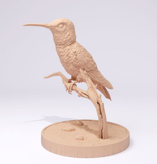 Ein Kolibri sitzt auf einem Ast von Animal den miniatures als 3D Druck