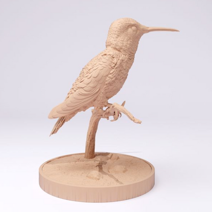 Ein Kolibri sitzt auf einem Ast von Animal den miniatures als 3D Druck