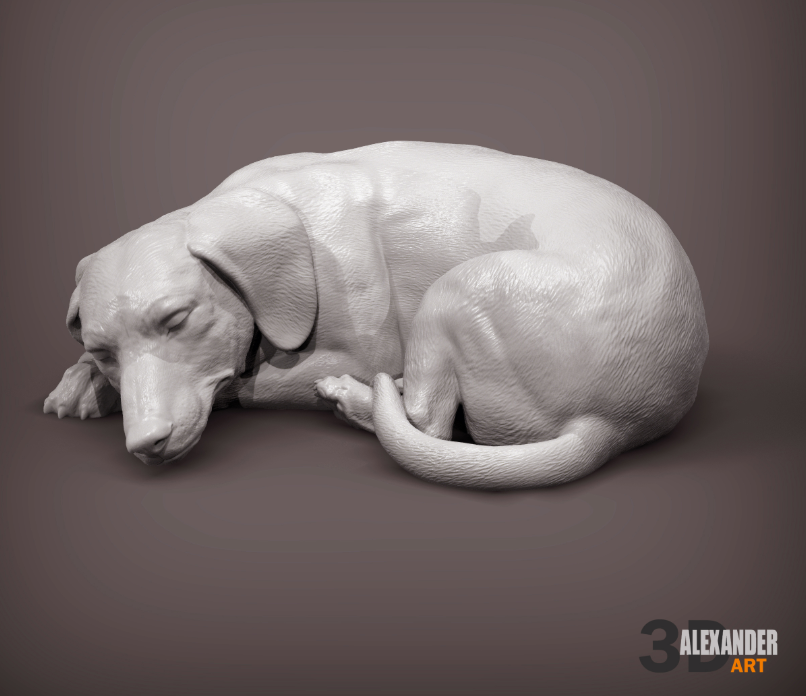 Teckel endormi par Akuzmenko pour impression 3D