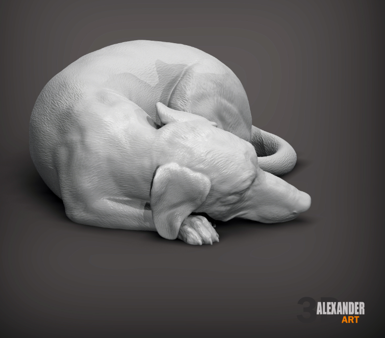 Teckel endormi par Akuzmenko pour impression 3D