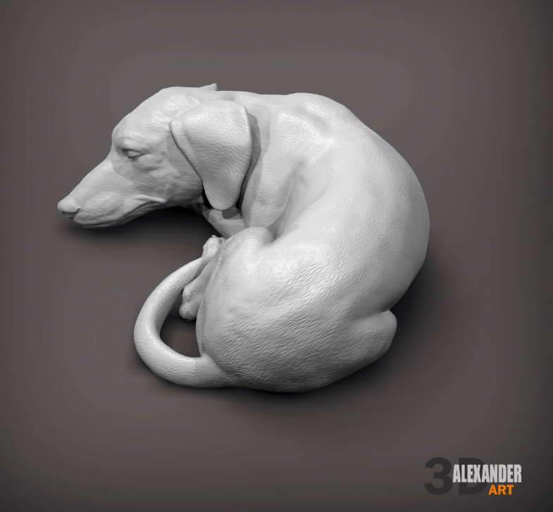 Teckel endormi par Akuzmenko pour impression 3D