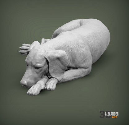 Schlafender Ungarischer Vorstehhund von Azukmenko