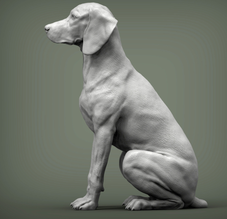 Sitzender ungarischer Vorstehhund von Akuzmenko als 3D Druck