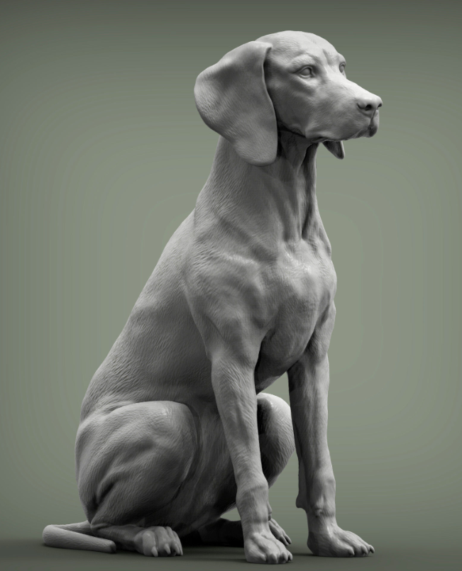 Sitzender ungarischer Vorstehhund von Akuzmenko als 3D Druck