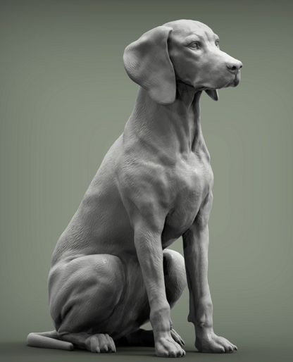 Sitzender ungarischer Vorstehhund von Akuzmenko als 3D Druck