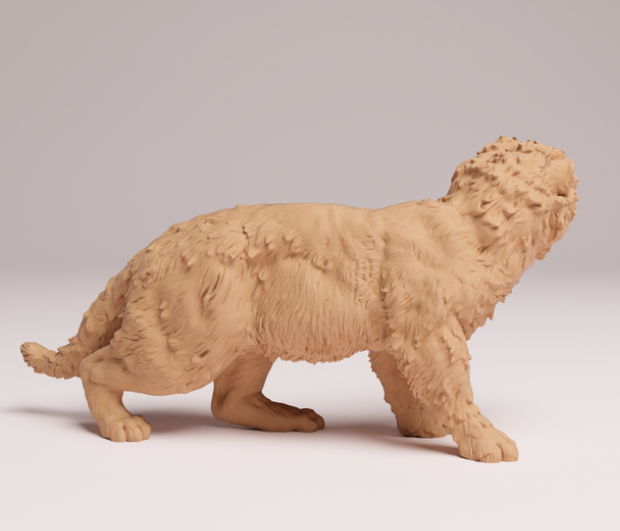 Amur Leoparden Baby von Animals den miniatures als 3D Druck