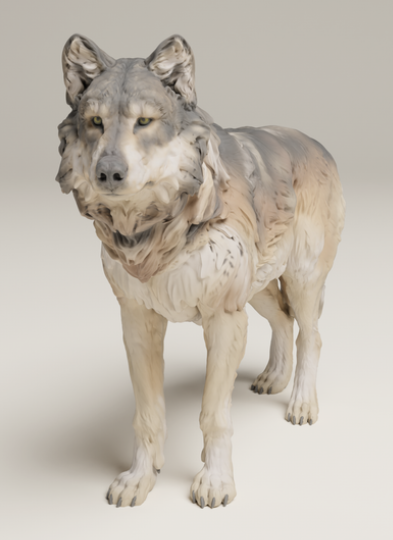 Stehender Grauer Wolf von animal den miniatures als 3D Druck