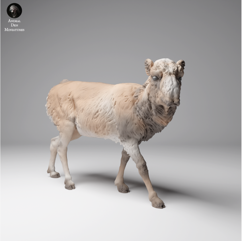 Saïga de Mongolie femelle d'Animal den miniatures en impression 3D