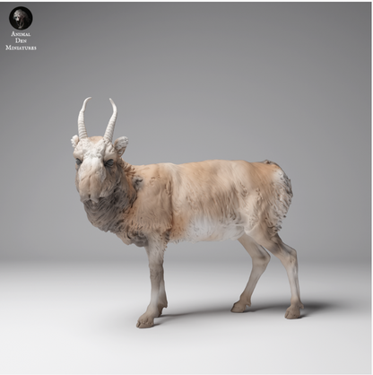 Mongolian Saiga male from Animal den miniatures as 3D print