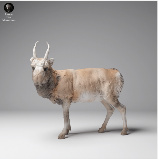 Mongolisches Saiga Männchen von Animal den miniatures als 3D Druck