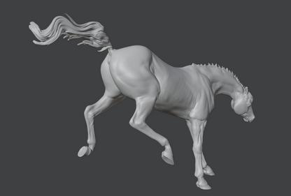 Achal Teke exits by Kristina Katunina and A&amp;M-Designs as 3D printing