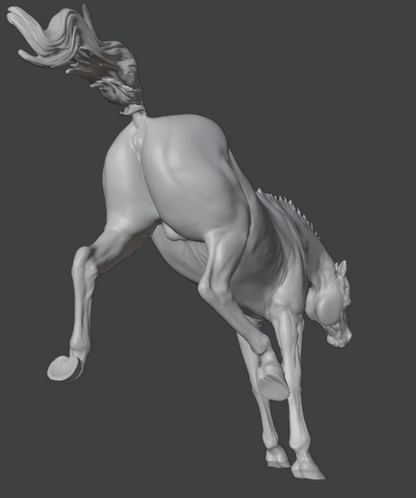 Achal Teke exits by Kristina Katunina and A&amp;M-Designs as 3D printing