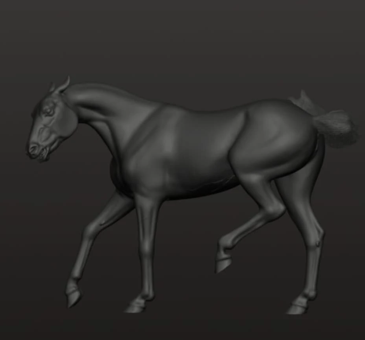 Cheeky Achal-Teke mare "Hela" / Exclusively available from us