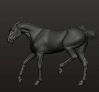 Cheeky Achal-Teke mare "Hela" / Exclusively available from us