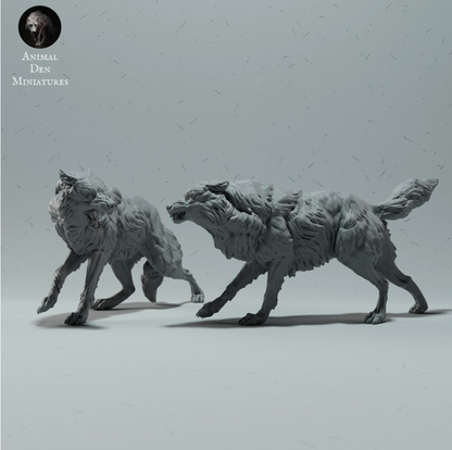 Kämpfende arktische Wölfe von animal den miniatures als 3D Druck