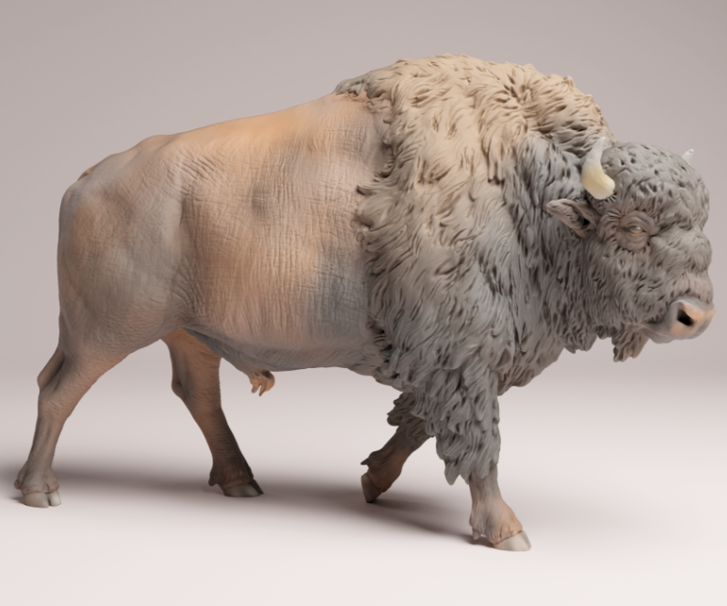 Bison von Animal den miniatures