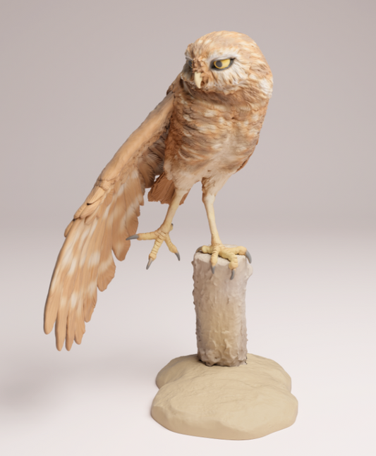 Kaninchenkauz auf Stamm  von Animal den miniatures