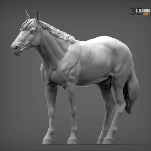 Interessiert schauendes Pferd von Akuzmenko als 3D Druck