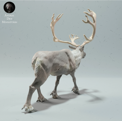 Laufender Karibu Bock animal den miniatures als 3D Druck