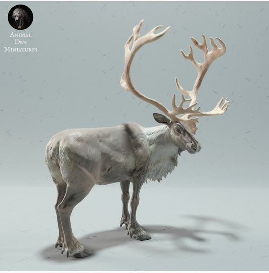Stehender Karibu Bock animal den miniatures als 3D Druck
