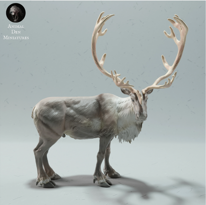 Stehender Karibu Bock animal den miniatures als 3D Druck