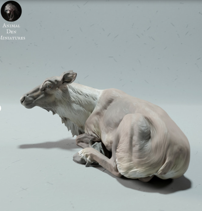 Reclining Caribou Cow by animal den miniatures / as an unpainted resin 3D print