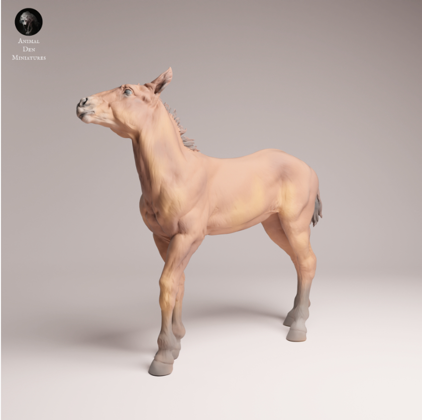 Cute Mustang foal from Animals den miniatures as 3D print