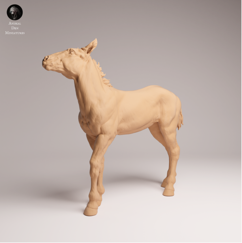Cute Mustang foal from Animals den miniatures as 3D print