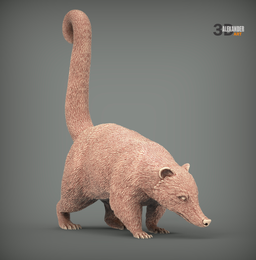 Nasenbär von Akuzmenko als 3D Druck