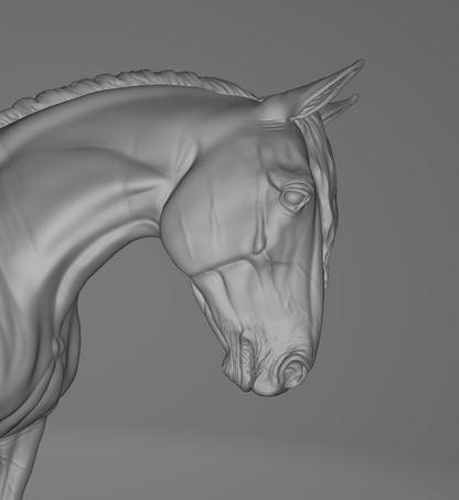 Lusitano Hengst "Deja-Vu" von Mirek_art_models / Exklusiv nur bei uns erhältlich