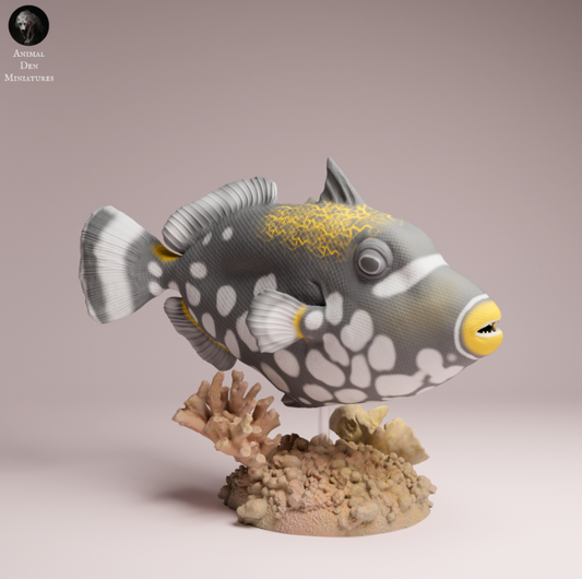 Clown Drückerfisch von Animals den miniatures als 3D Druck