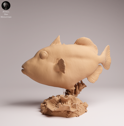 Clown Drückerfisch von Animals den miniatures als 3D Druck