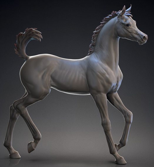 Poulain au galop Bruce par Breathtime