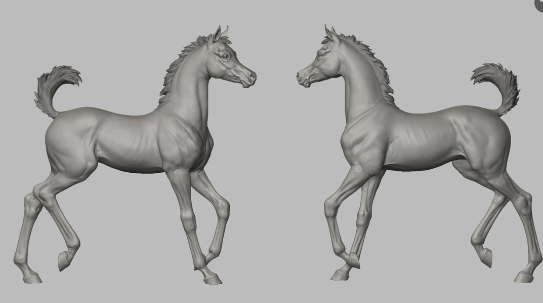 Rennendes Fohlen Bruce  von Breathtime